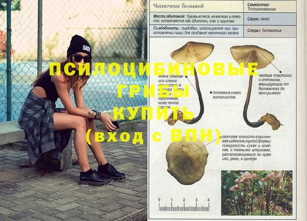 спиды Краснослободск