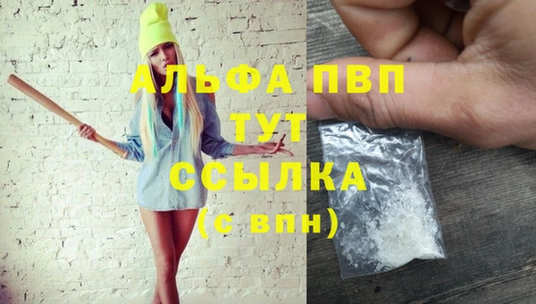 спиды Краснослободск